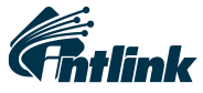 IntLink